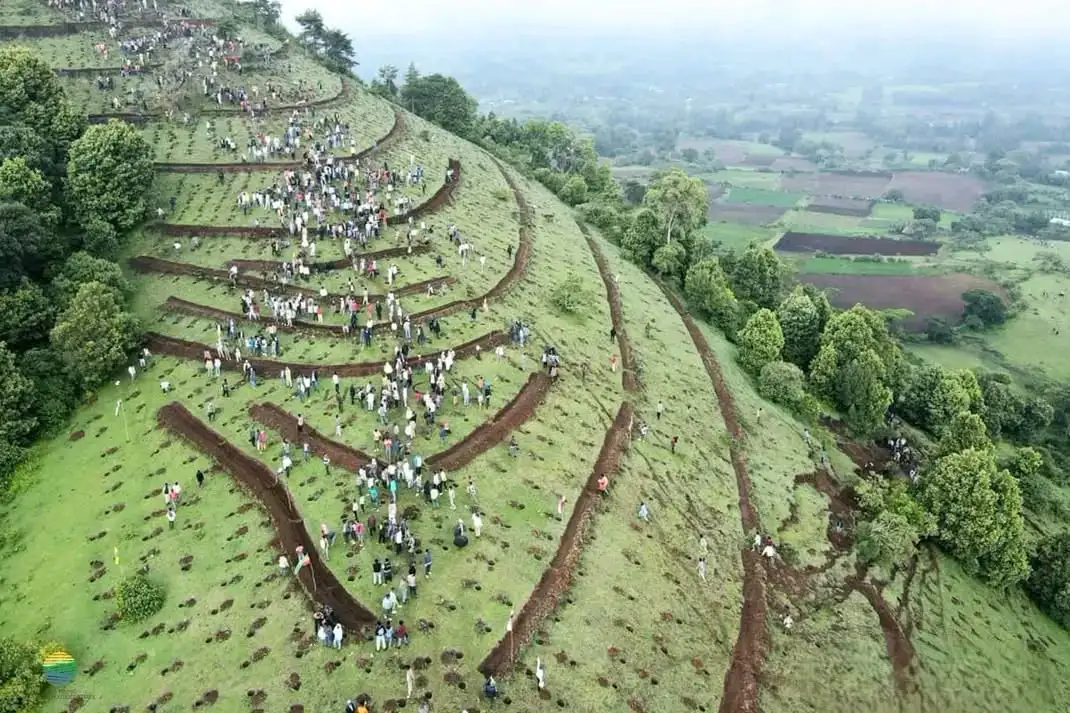 የአረንጓዴ ዐሻራ ጥሪ ለነገዋ ኢትዮጵያ