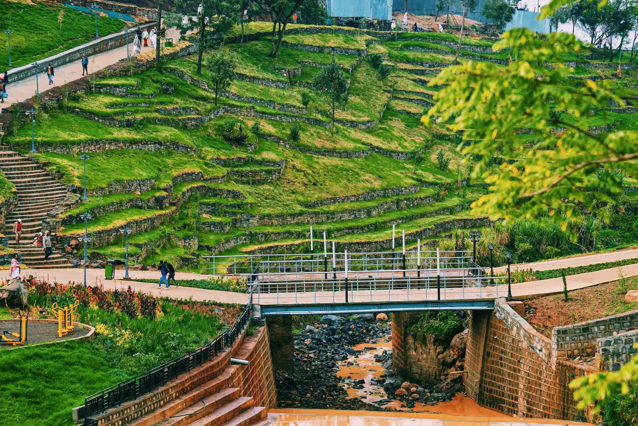 Ethiopia Sets a New Standard for Green Diplomacy Across Africa