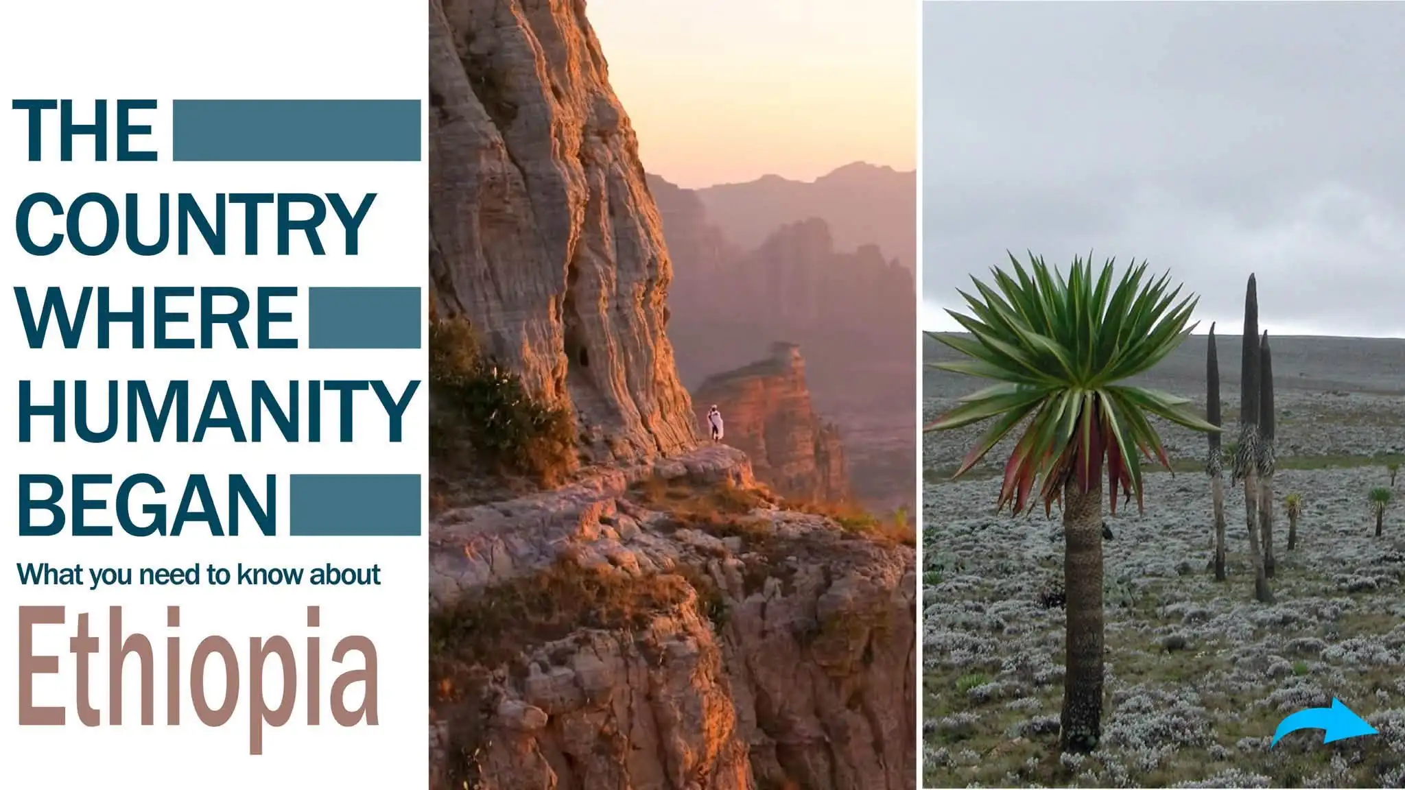 𝗦𝗨𝗡𝗗𝗔𝗬 𝗖𝗨𝗥𝗜𝗢𝗦𝗜𝗧𝗬: #Ethiopia holds more surprises than you'd expect. See how much you really know.