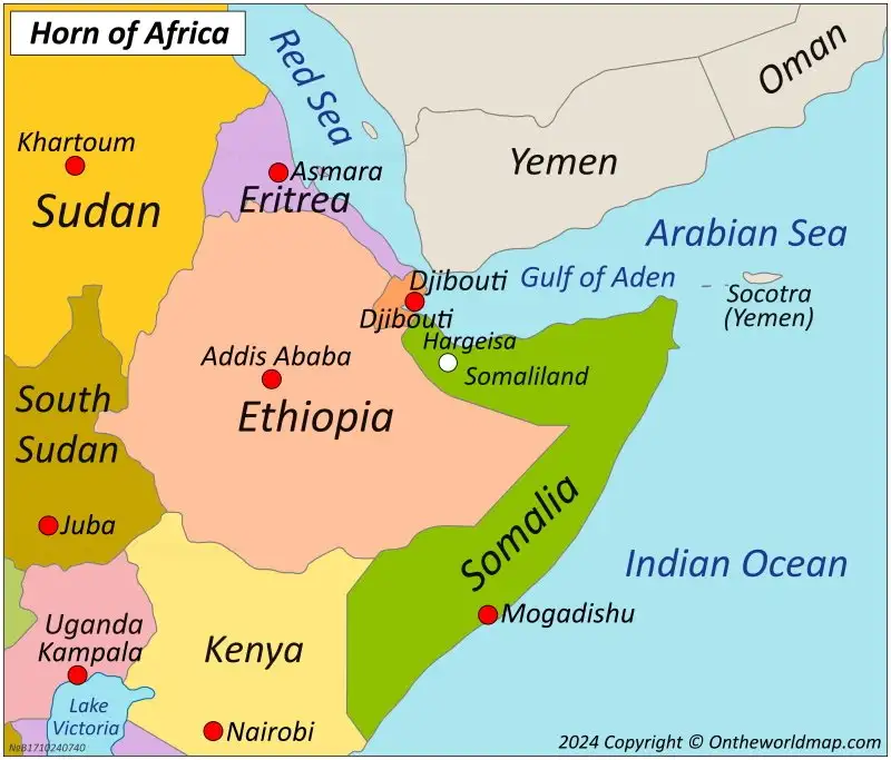 The Horn of Africa Needs Cooperation, Not Proxy Competition