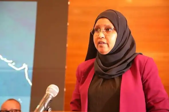 ወደ ከፍተኛ ስትራቴጂያዊ ደረጃ የተሸጋገረው የኢትዮጵያ እና የአሜሪካ ዲፕሎማሲያዊ እና ወታደራዊ ትብብር