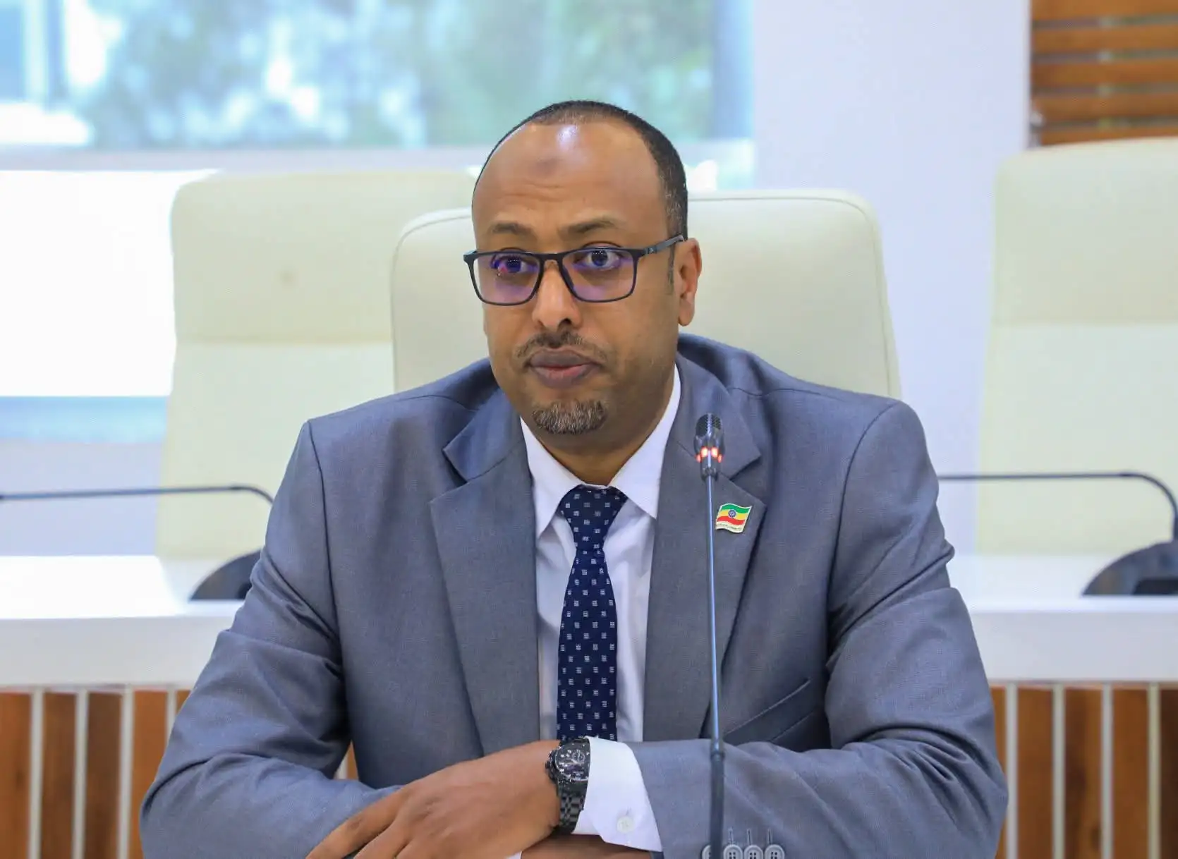 Ethiopia Spends Up to $2 Billion Annually on Port Rentals, Parliamentary Official Says