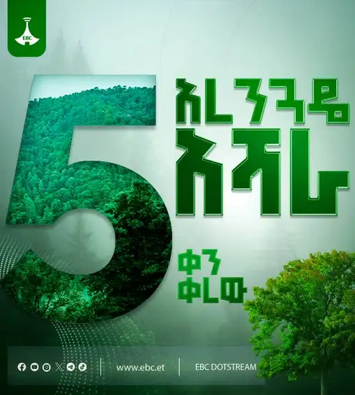 ኢትዮጵያውያን በአንድነት ወጥተው በአንድ ጀምበር 800 ሚሊዮን ችግኞችን በመትከል ታሪክ የሚሠሩበት ዕለት - 5 ቀን ቀረው!