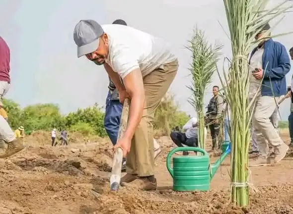 የአንድ ጀምበር ተዓምር፦ 800 ሚሊዮን ችግኝ እና የኢትዮጵያ አረንጓዴ አብዮት