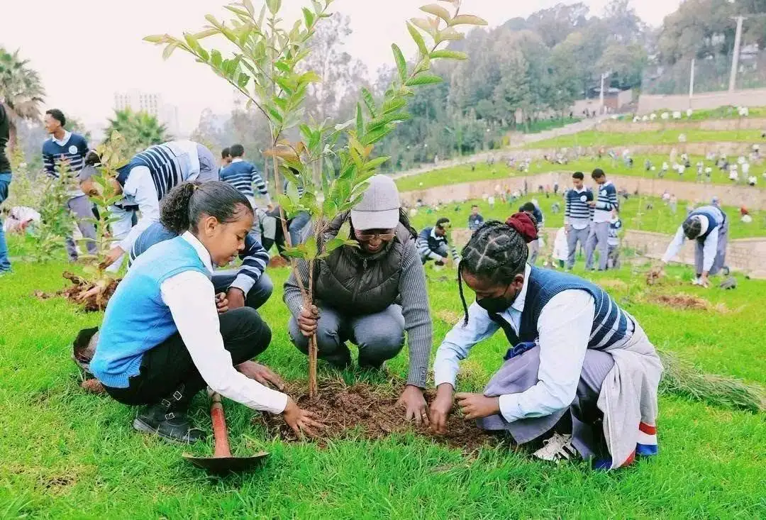 አረንጓዴ ዐሻራ፡ በኢትዮጵያውያን ዘንድ አዲስ የኅብረት እና የጋራ ዓላማ ባህልን የፈጠረ መርሐ-ግብር