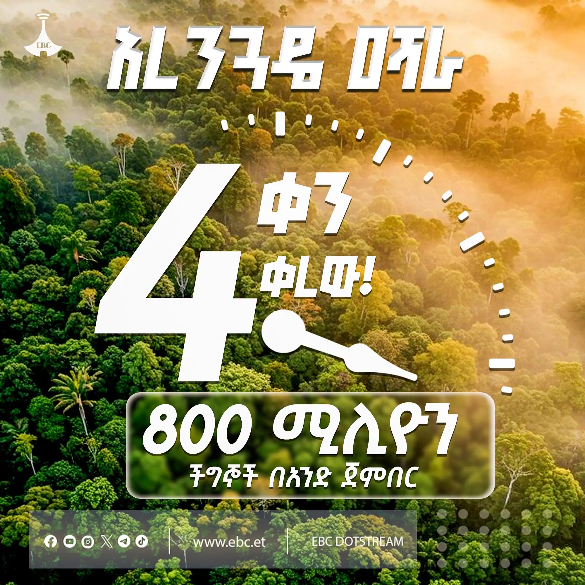 4 ቀናት ብቻ ቀሩ!  ኑ በጋራ ተስፋን እንትከል!