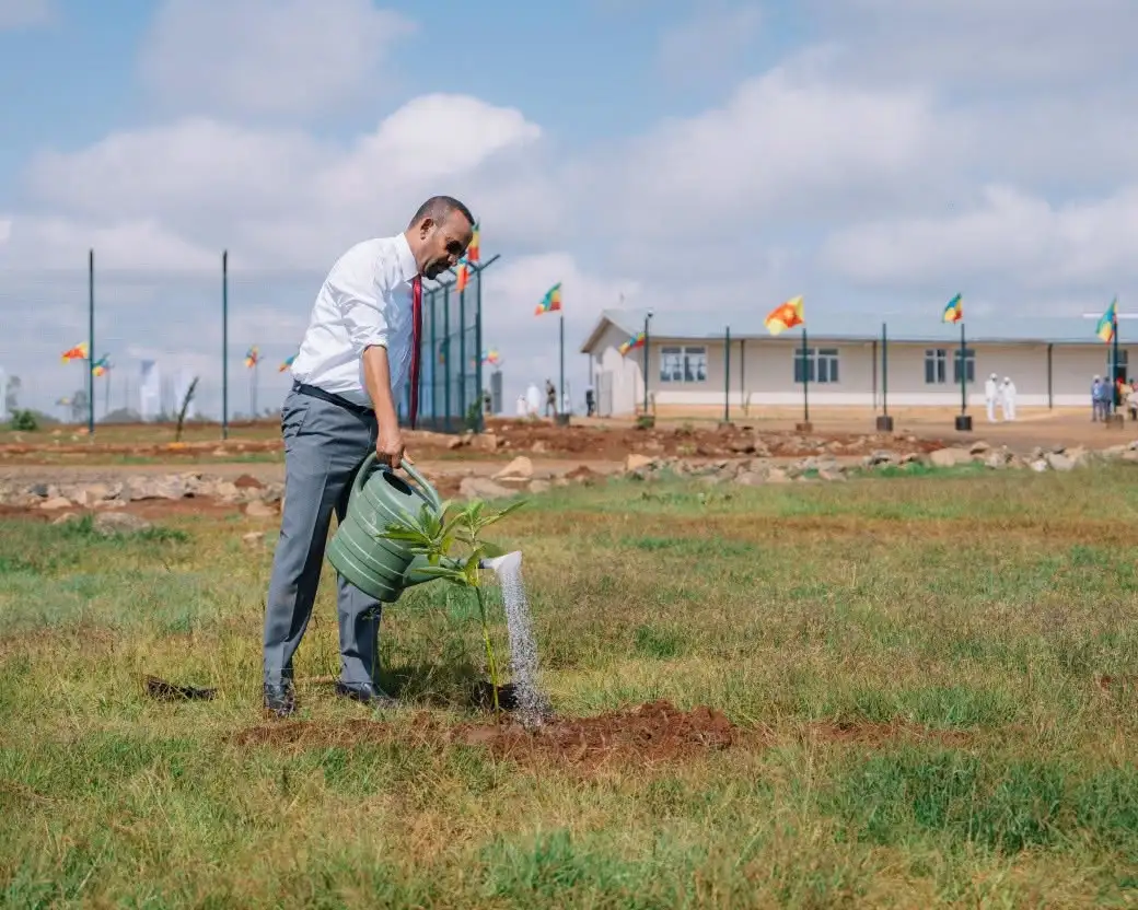የአረንጓዴ ዐሻራ መርሃ-ግብር ከተጀመረበት ጊዜ ጀምሮ ያቀድነውን ሁሉ አሳክተናል