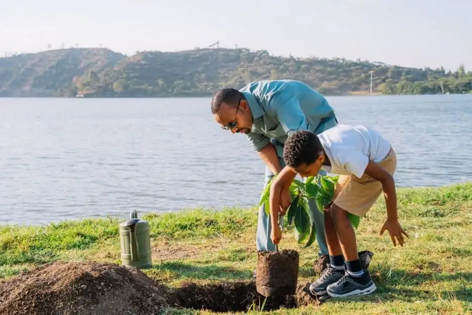 How Ethiopia's Green Legacy Drives African Climate Diplomacy