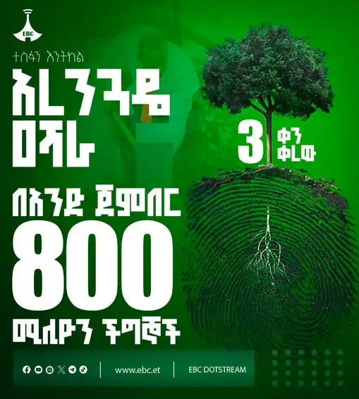 በአንድ ጀምበር 800 ሚሊዮን ችግኞችን ተክለን ታሪክ ለመሥራት - 3 ቀን ቀረን!
