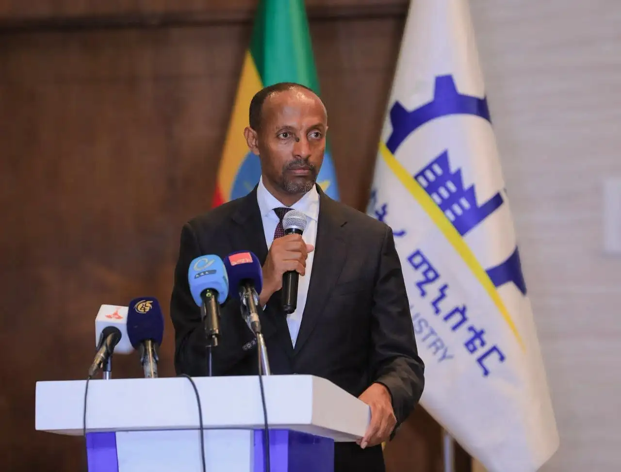 የአምራች ኢንዱስትሪው ብሔራዊ የሀብት ልየታ ጥናት ተጠናቅቆ ወደ ትግበራ ተሸጋገረ