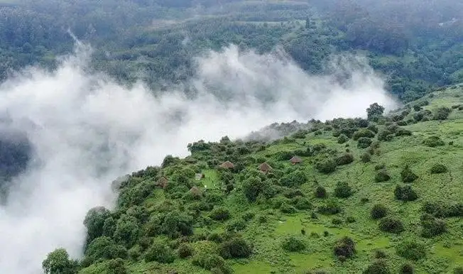 ከዓመት እስከ ዓመት በአረንጓዴ ቀለም፤ የሐምሌ ዝናብ ዛሬን ሲያለመልም፣ አረንጓዴ ዐሻራ ነገን ያሳድጋል