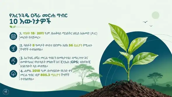 ስለ አረንጓዴ ዐሻራ መርሃግብር ማወቅ ያለብዎት 10 እውነታዎች፦
