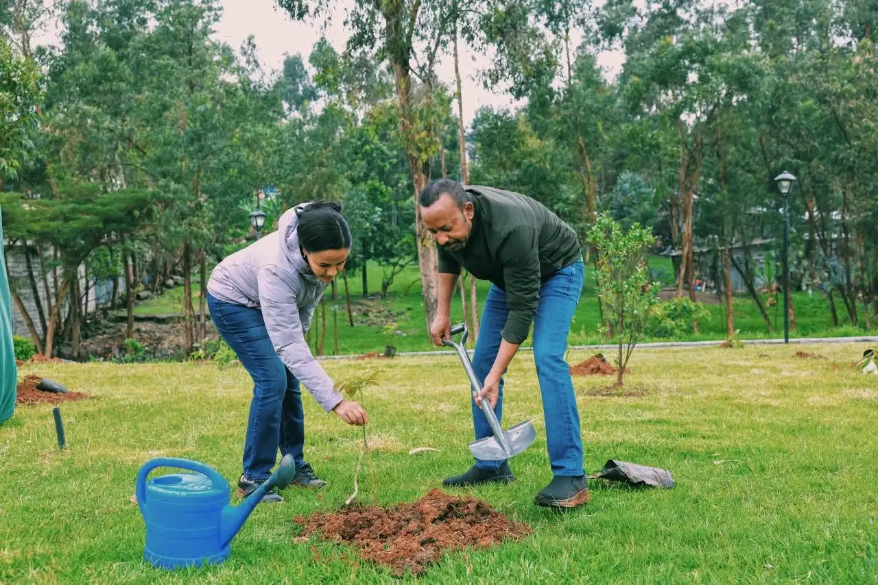 ከአፈር ጥበቃ እስከ ቀጠናዊ ዲፕሎማሲያዊ ስኬት፡ የኢትዮጵያ አረንጓዴ ዐሻራ ያስመዘገባቸው 10 ታሪካዊ እመርታዎች
