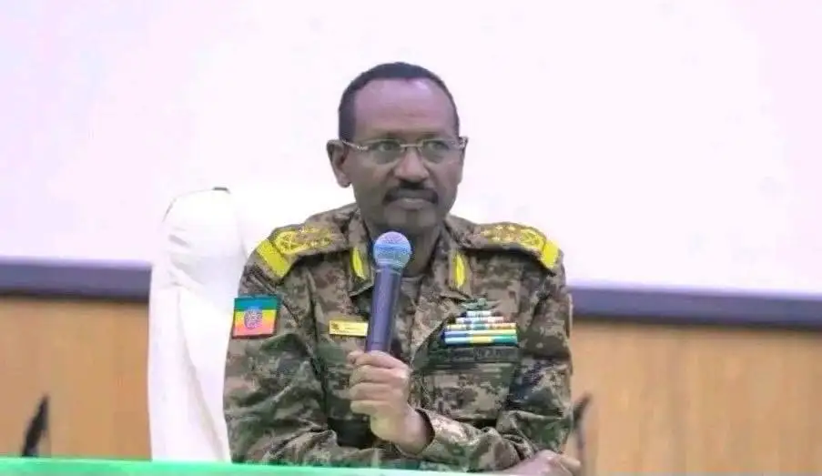 "ኢትዮጵያ በጀግኖች ልጆቿ በጀመረችው ዕድገት እና ብልፅግና ወደፊት ትቀጥላለች፤ የታሪካዊ ጠላቶቿ ሕልም አይሳካም"፦ ፊልድ ማርሻል ብርሃኑ ጁላ