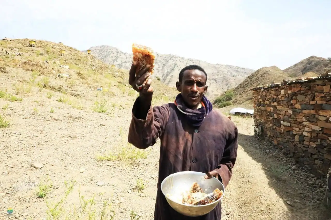 የበርሃው ወርቅ፦ ከጉበን አፋፍ የተገኘው የሳሊ ጣፋጭ የህይወት ጉዞ