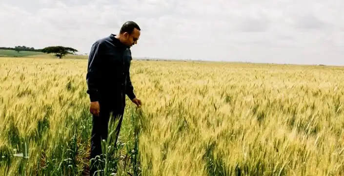 በመደመር ዕሳቤ ከፍታዋን እያረጋገጠች ያለችው ኢትዮጵያ