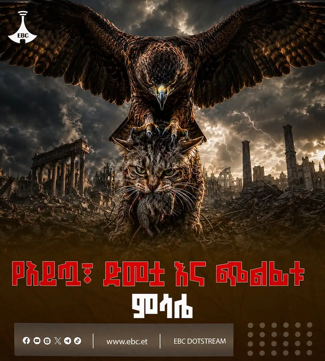 የአይጧ፣ ድመቷ እና ጭልፊቱ ምሳሌ