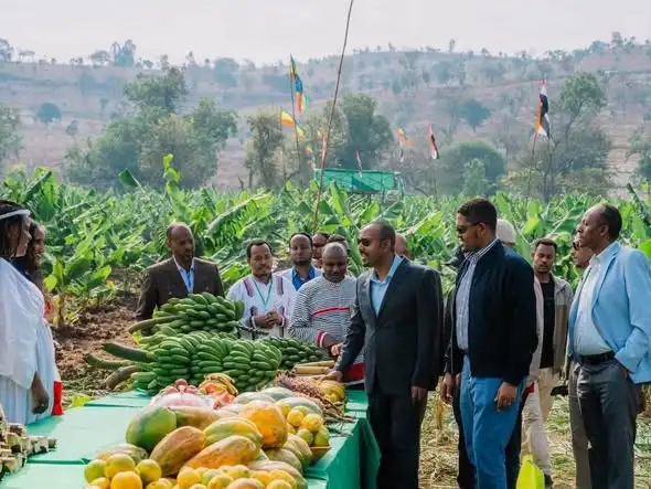 ከጥገኝነት ወደ ሉዓላዊነት፡ በተግባር እየተረጋገጠ ያለው የኢትዮጵያ የግብርና ስኬት