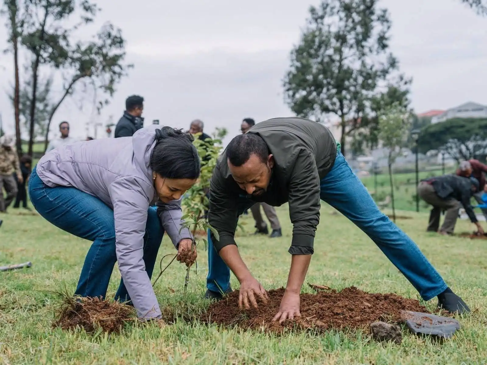 በዘንድሮ ዓመት እስካሁን 6 ነጥብ 5 ቢሊዮን በላይ ችግኞች ተተክለዋል ፦ ጠቅላይ ሚኒስትር ዐቢይ አሕመድ (ዶ/ር)