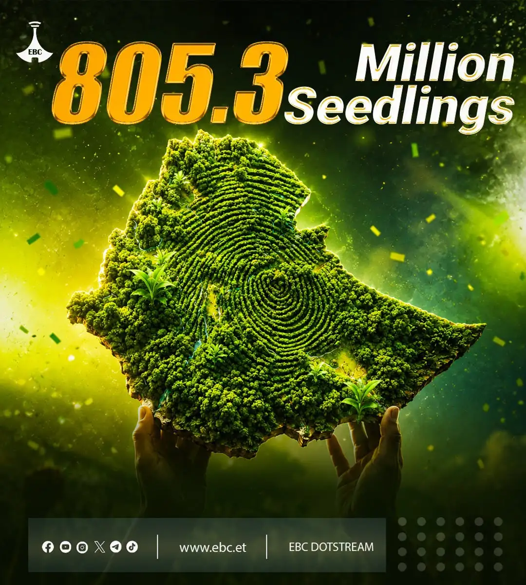 How 26 Million Ethiopians United to Plant 805.3 Million Trees in a Single Day