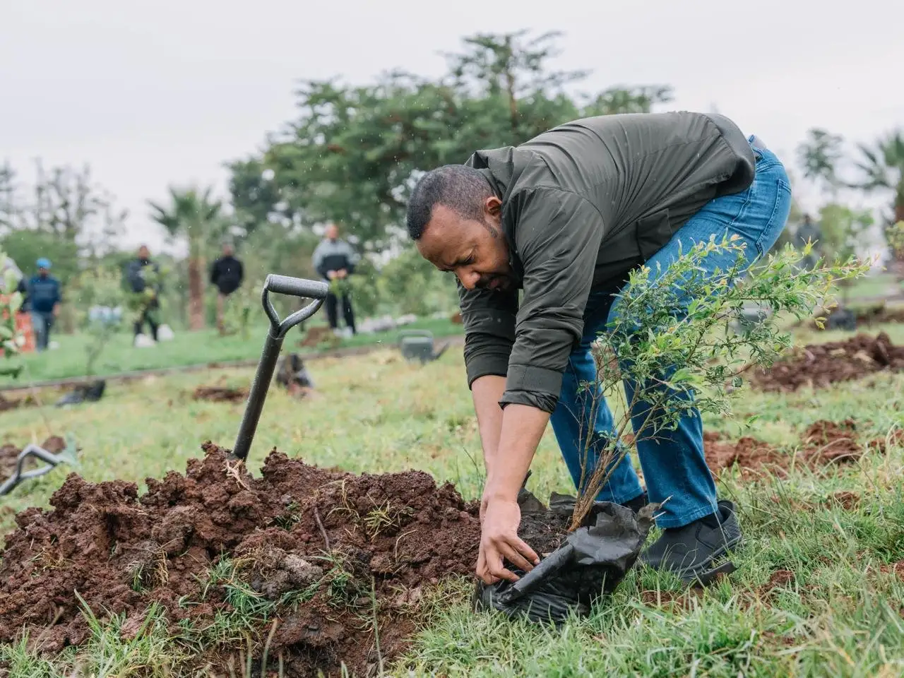 Prime Minister Abiy Ahmed: Eight Years of Green Legacy Drive Strength, Unity Across Ethiopia