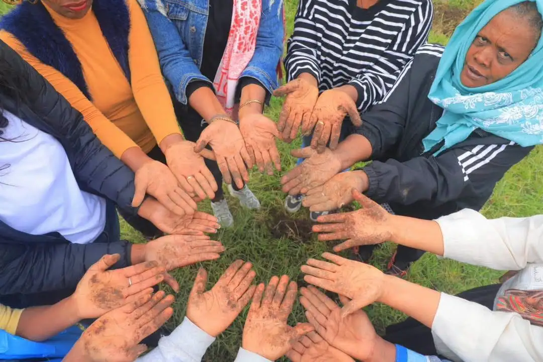 Eight Hundred Million Seedlings in a Day, Another Milestone!