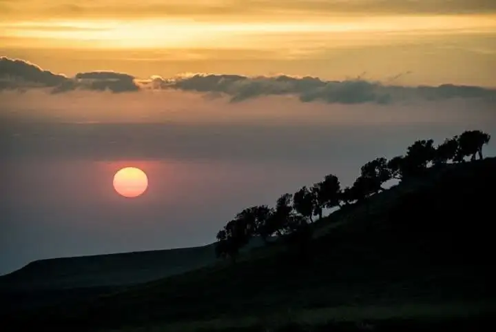 ሌሊቱ ሲጀምር አዲስ የቱሪዝም ዓለም ይነቃል