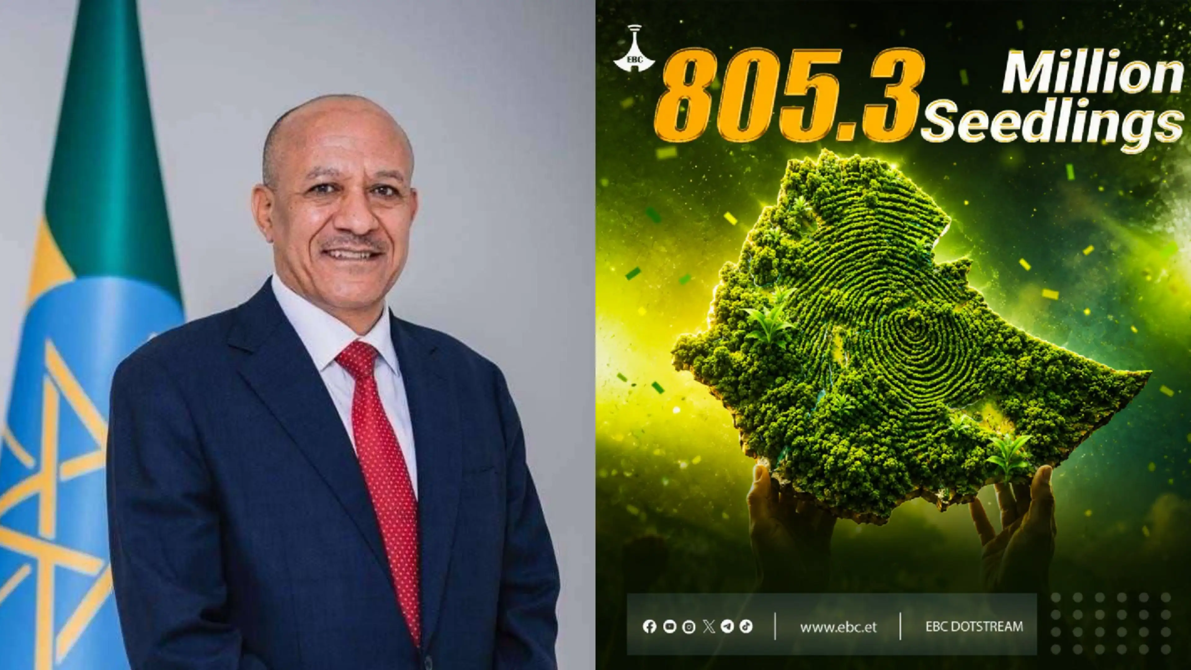 Ethiopians Plant Over Eight Hundred Million Seedlings In Single Day