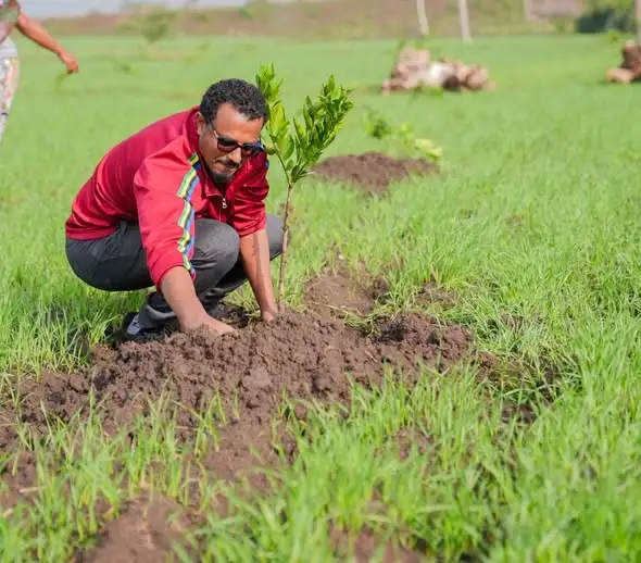 ኢትዮጵያ COP32ን ማዘጋጀቷ ለአረንጓዴ ኢኮኖሚ ያላትን ቁርጠኝነት የሚያረጋግጥ ነው - ፕላንና ልማት ሚኒስቴር