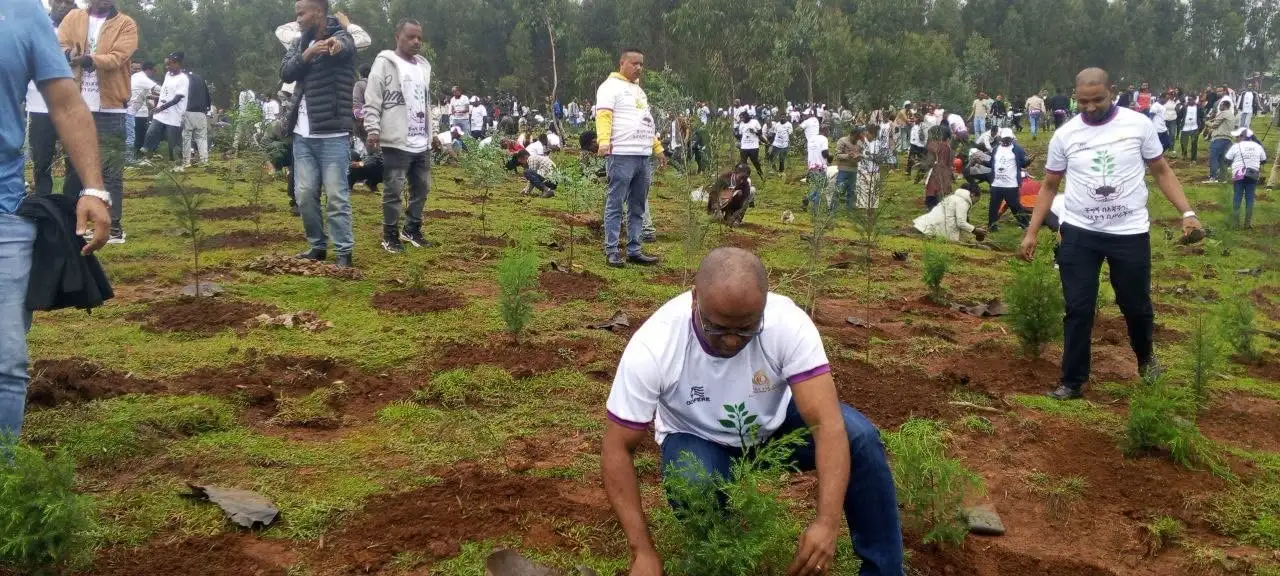 "ከብክለት ነጻ የሆነች ኢትዮጵያን ለትውልድ!" የኢትዮጵያ ንግድ ባንክ በእንጦጦ አረንጓዴ አሻራውን አኖረ