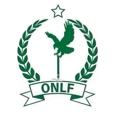 የኦጋዴን ብሔራዊ ነፃነት ግንባር (ኦብነግ) በአገራዊ ምክክር ሂደቱ ላይ ያደረገው ተሳትፎ ውጤታማ መሆኑን ገለጸ