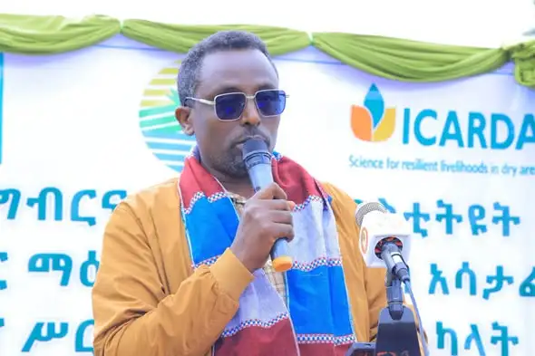 በወራቤ የማህበረሰብ አሳታፊ የዝርያ ማሻሻያ፦ የማዕከላዊ ኢትዮጵያ ክልል የግብርና ምርምር ስኬት እና የአርሶ አደሮች ተስፋ