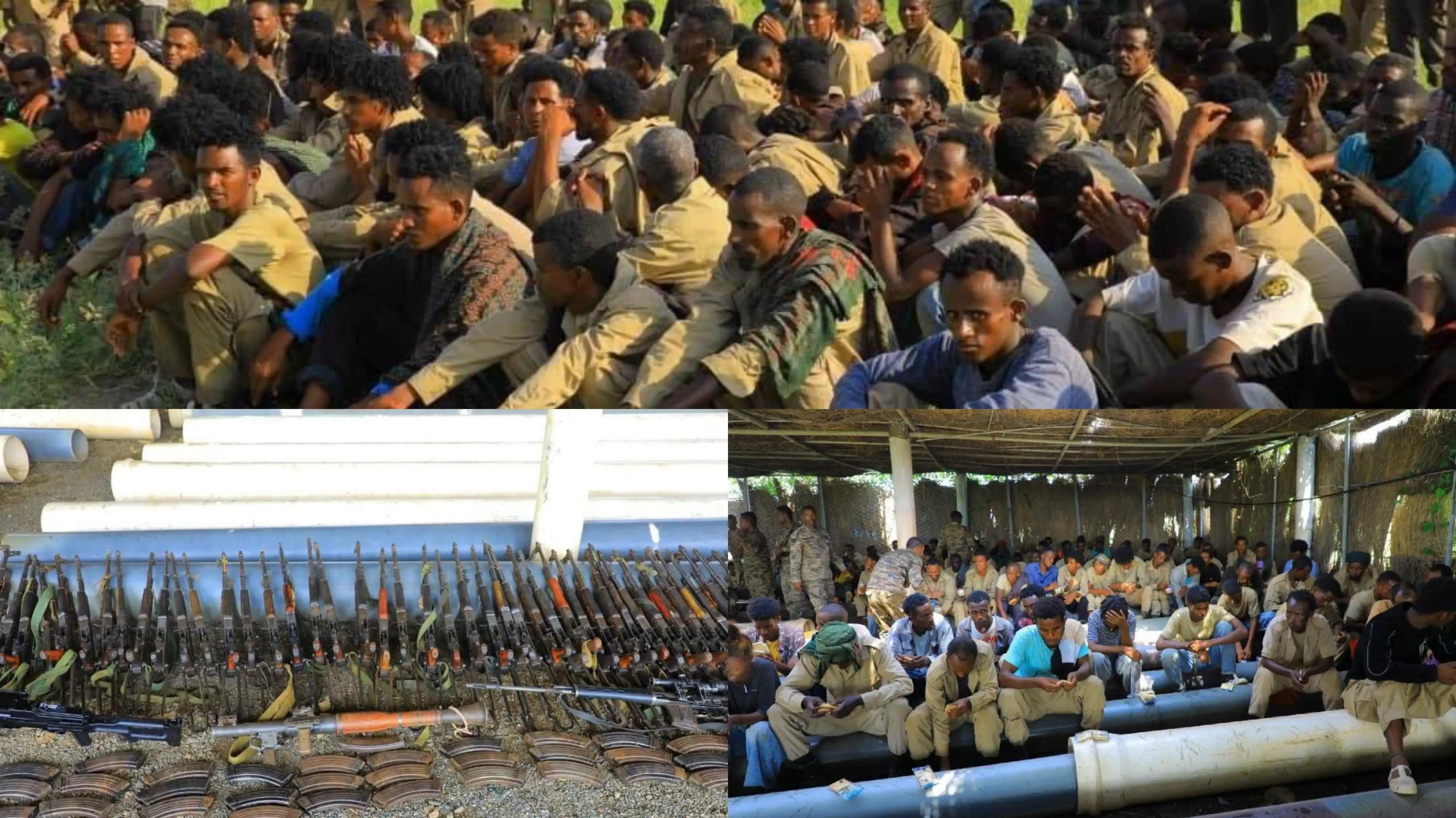 Nearly 300 TPLF Militants Surrender in Tekeze