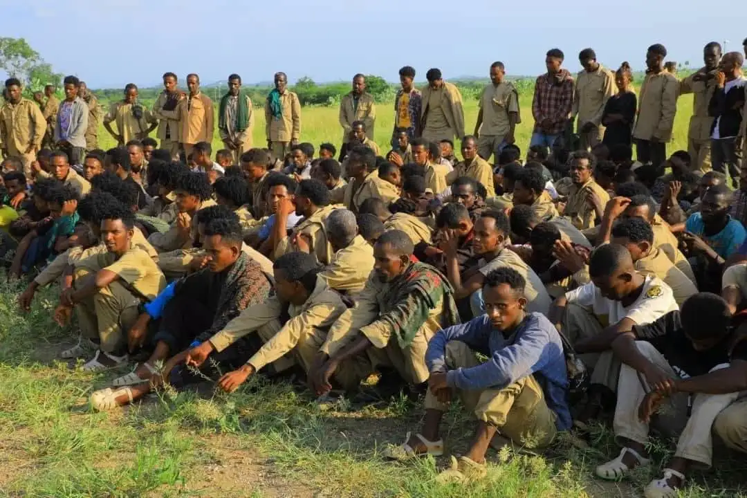 ወደ 300 የሚጠጉ የህገወጡ ህወሃት ታጣቂዎች ለሰሜን ምዕራብ ዕዝ ሠራዊት እጃቸውን ሰጡ