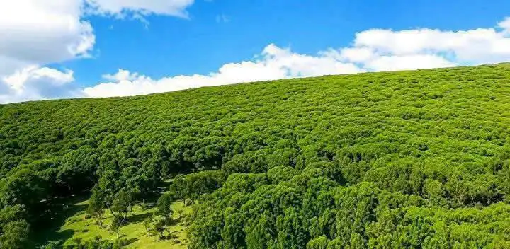 በአማራ ክልል ምስራቅ ጎጃም ዞን የሚገኘው የጮቄ ሰንሰለታማ ተራራ ከፊል ገፅታ (በምሥል)