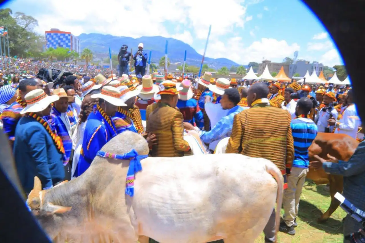 የወላይታ ብሔር ዘመን መለወጫ በዓል “ጊፋታ” ድምቀት የሆነው "ሹሃ ዎጋ"