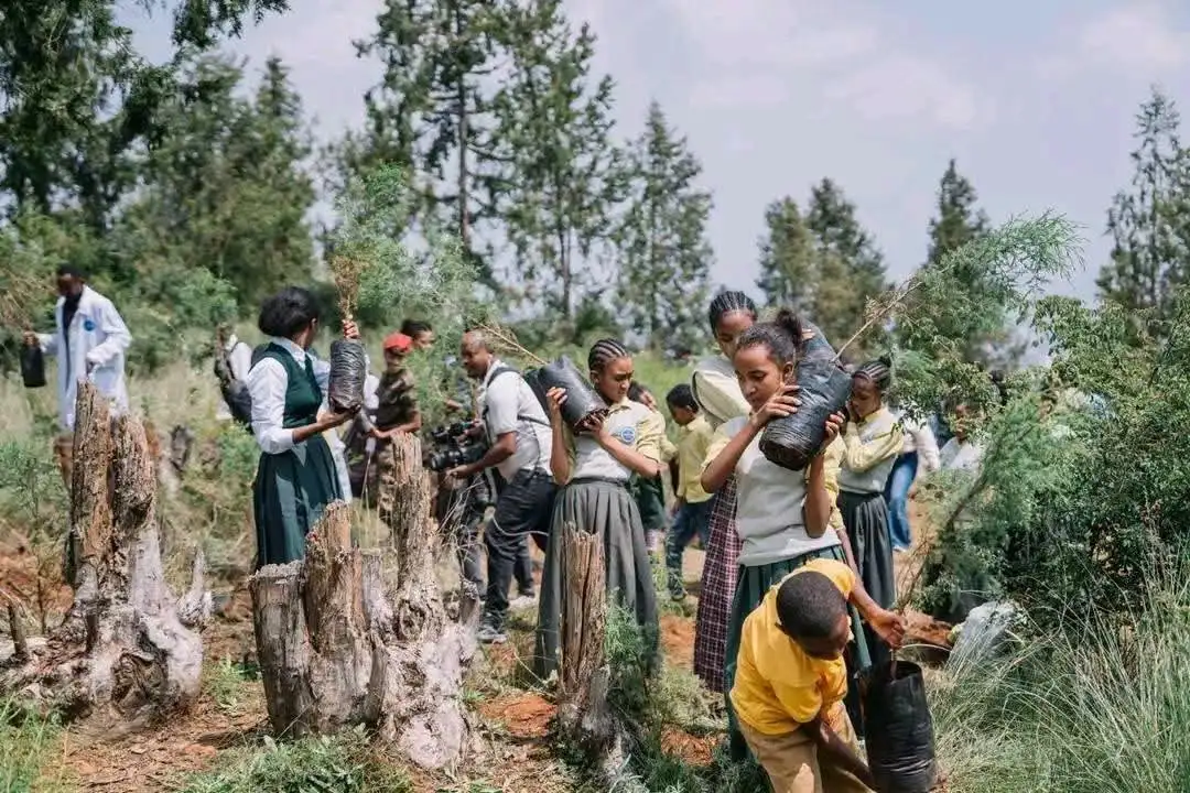 ከተራራ በላይ የገፋው የኅብረት ጉልበት፡ የአረንጓዴ አሻራ እና የኢትዮጵያውያን የማድረግ አቅም ተአምር