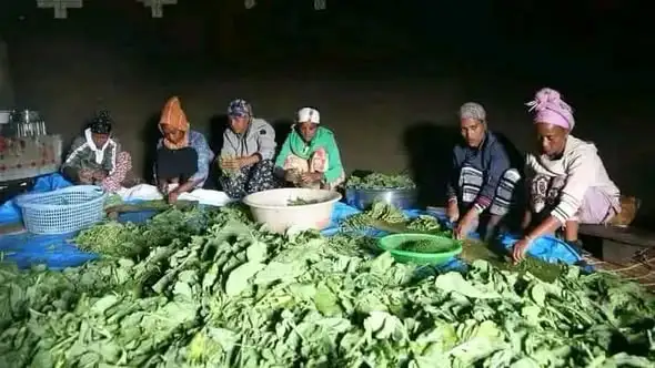 የሴቶች መስቀል፦ የጉራጌ ሴቶች የክብር በዓል