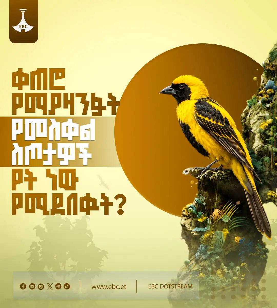 ቀጠሮ የማያዛንፉት የመስቀል ስጦታዎች