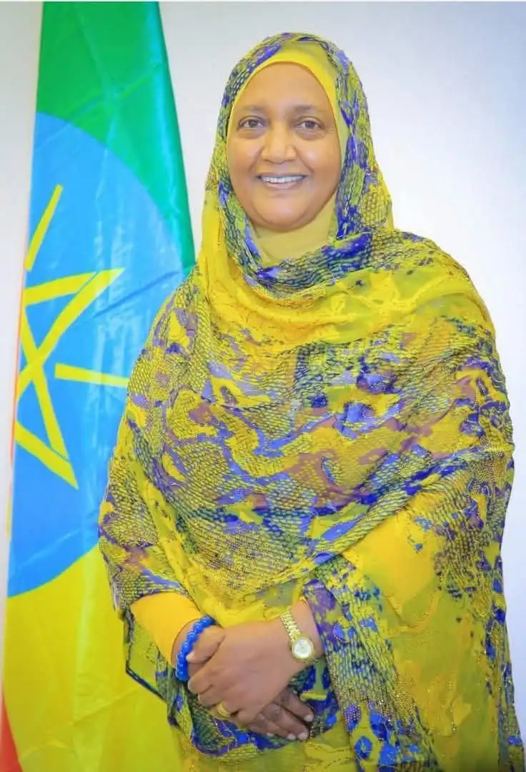 ወ/ሮ ቡዜና አልከድር የአዲስ አበባ ከተማ ምክር ቤት አፈ ጉባኤ ሆነው ተሰየሙ