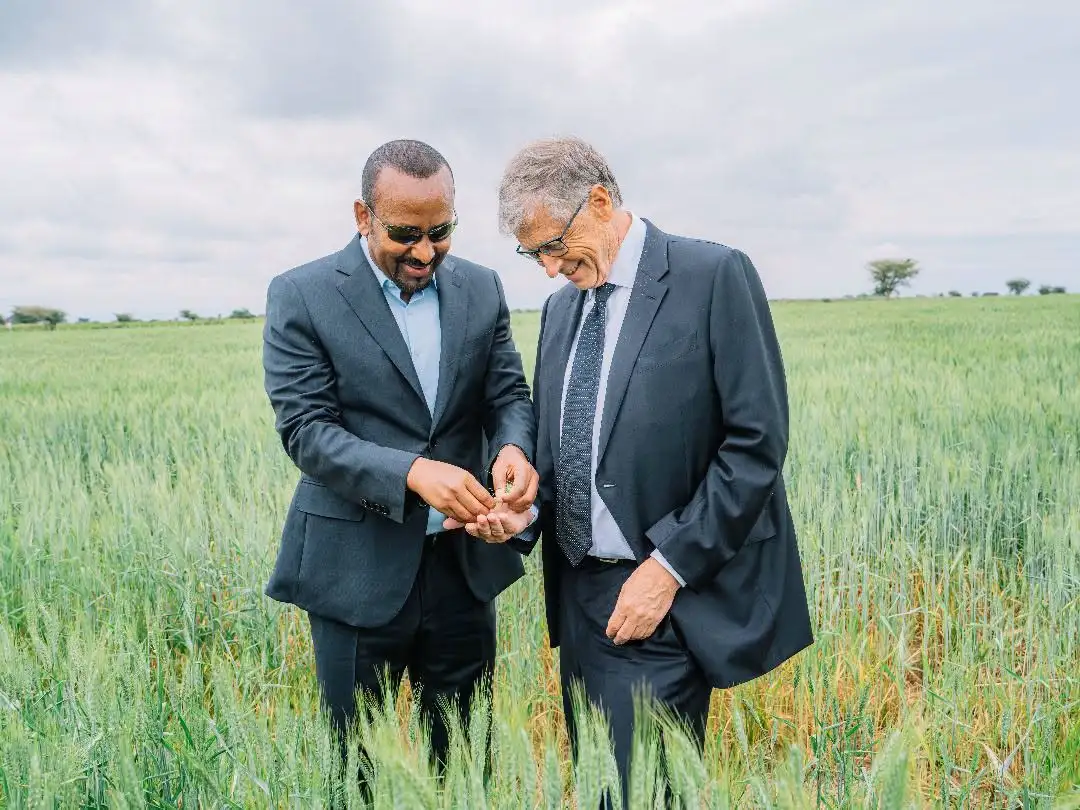 በማሳ የሚገለጥ ከፍታ፡ የኢትዮጵያ ግብርና አዲስ ምዕራፍ