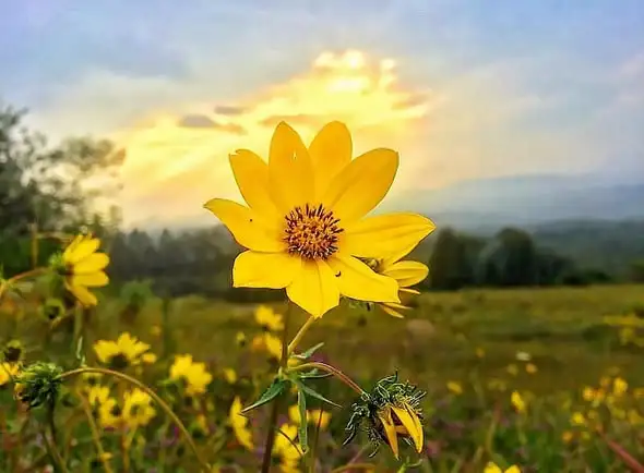 ከክረምቱ ጭጋግ ወደ መስከረም ብርሃን፦ ከተፈጥሮ ጋር የሚታደሰው ተስፋችን