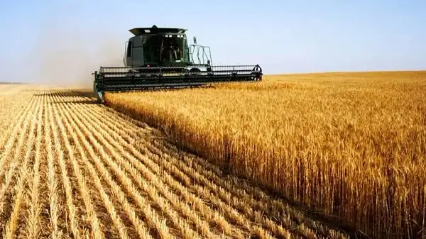 Ethiopia's Agricultural Transformation