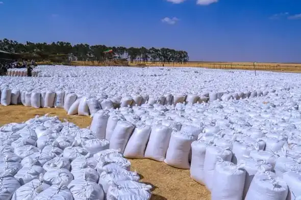 From Fields to Grids, Ethiopia Claims Its Economic Future