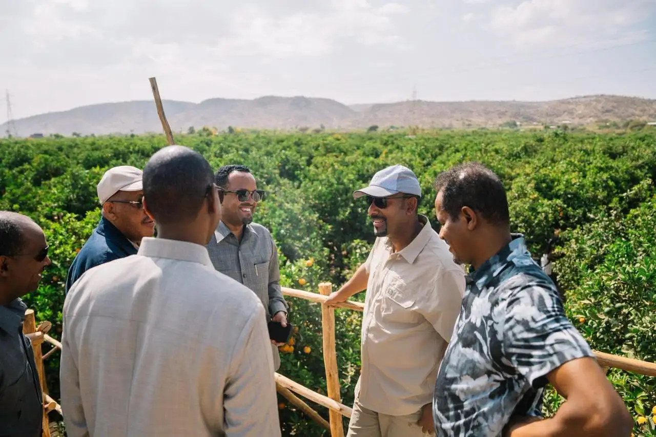 ከዝናብ ጥገኝነት ወደ መስኖ፣ ከራስ ፍጆታ ወደ ገበያ፡ የግብርና ማንሠራራት