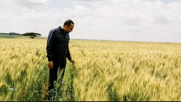የተረጂነት ምዕራፍ መዝጊያ፡- የኢትዮጵያ የምግብ ሉዓላዊነት እና የከፍታ ማማ