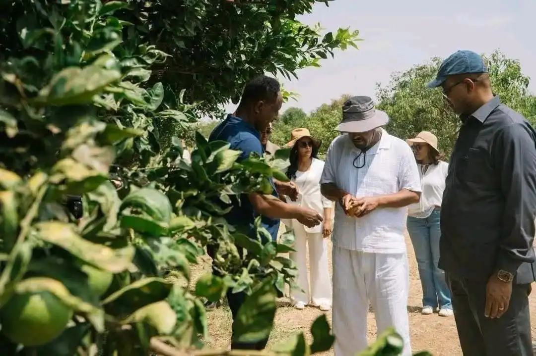 ከደም ዋጋ እስከ ነጭ ላብ
